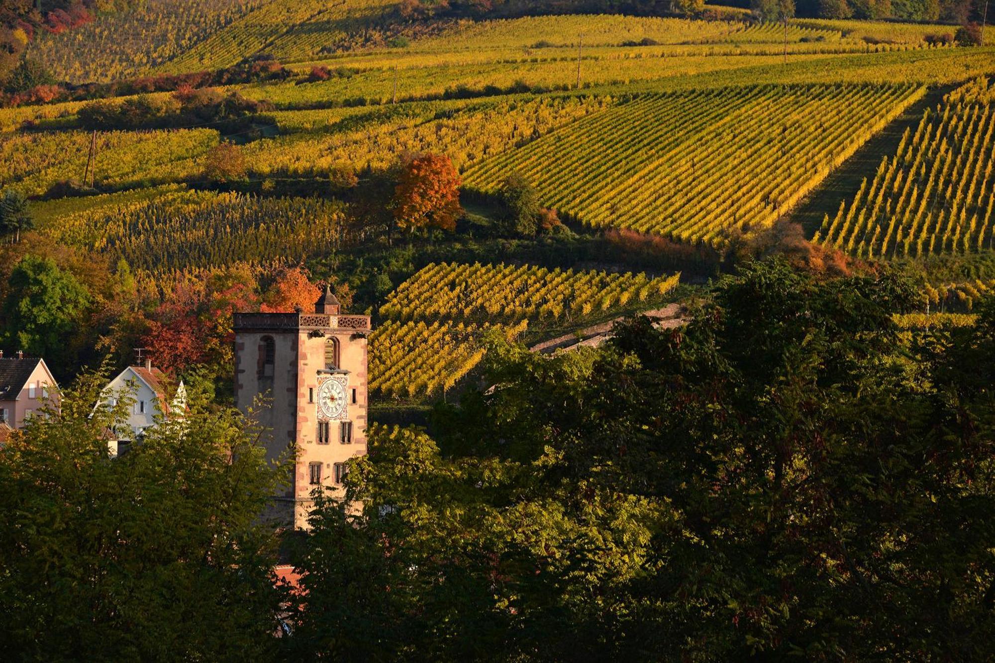 Au Nid D'Hirondelles Ribeauvillé Exterior foto