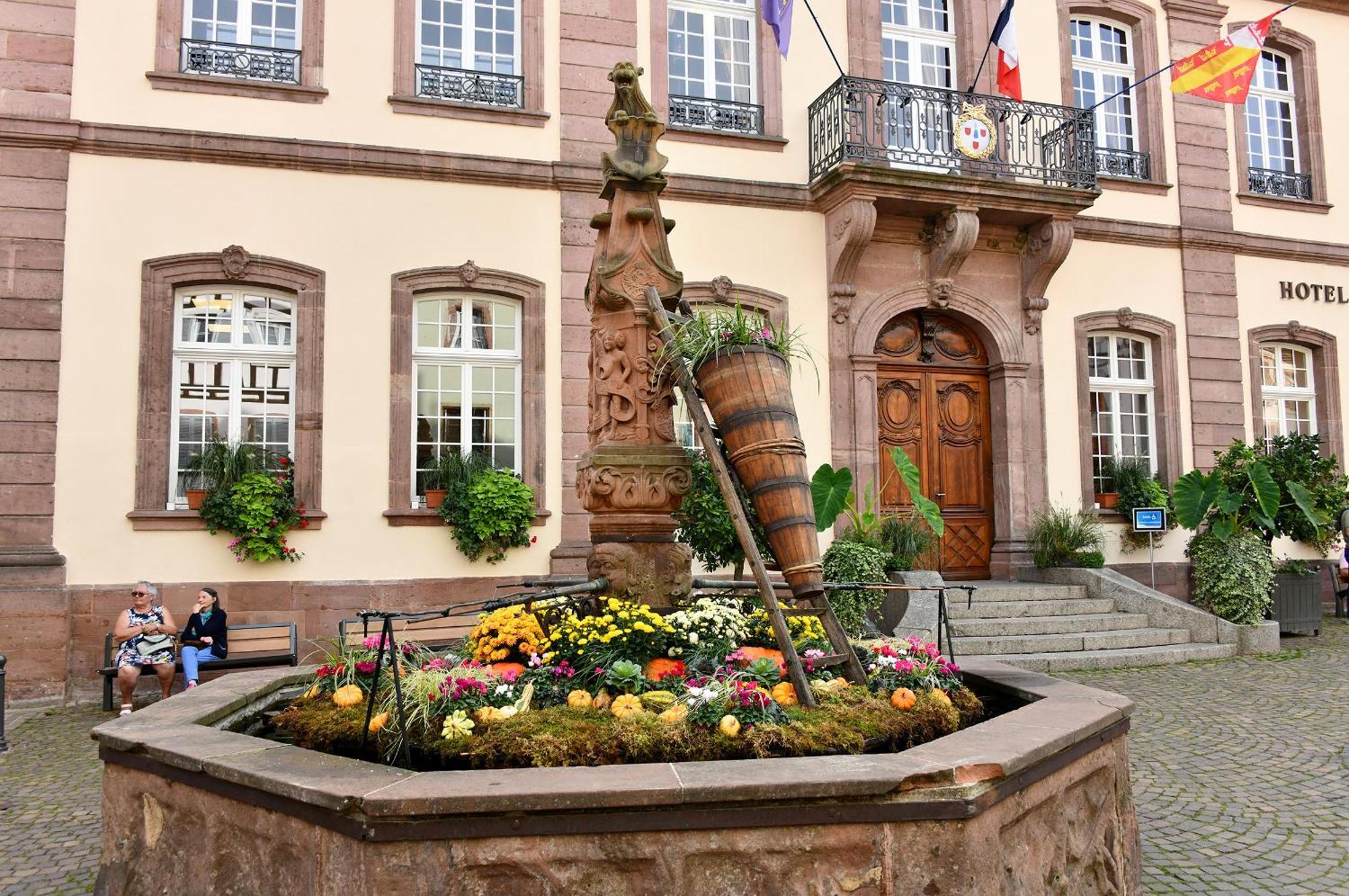 Au Nid D'Hirondelles Ribeauvillé Exterior foto